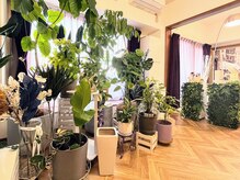 アンドエモン(&EMON)/＆EMON象徴のグリーン達