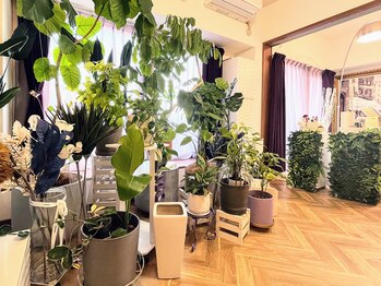 アンドエモン(&EMON)/＆EMON象徴のグリーン達