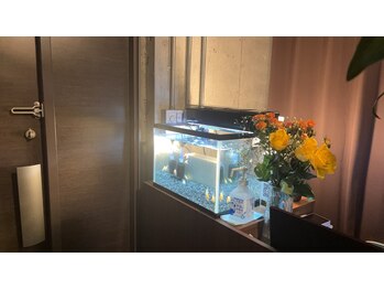 癒磁館 天神本店/＜店舗入口２＞