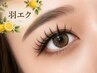 韓国風束感EYE♪マツエク/羽エク10本×フラットラッシュ60本