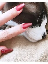 ユーズスタイル(U’style)/ニャンニャンニャンの日