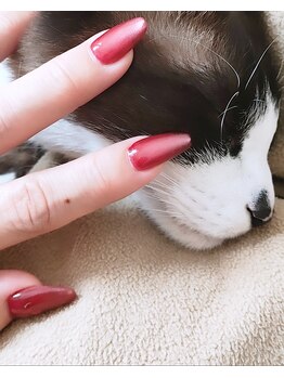 ユーズスタイル(U’style)/ニャンニャンニャンの日