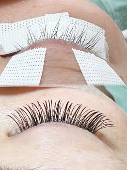 ハウオリ(Hau'oli)/デザインキープラッシュ