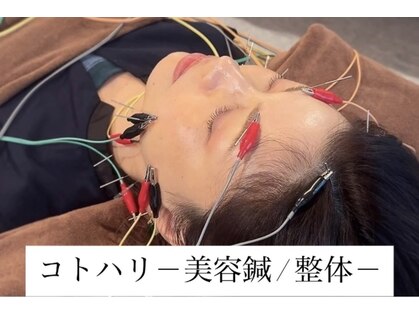 コトハリの写真