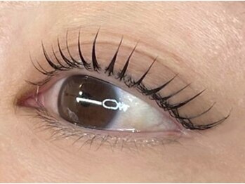 ハリウッドブロウリフト ワクシー 表参道店(HOLLYWOOD BROW LIFT WAXYYY.)/ 程よいカール☆まつ毛パーマ