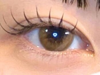 ファボ(fav)の写真/まつ毛から目元の印象UP！定期的なまつ毛のメンテナンスはfavにお任せください☆毎日のメイク時短にも◎