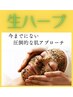 【漢方☆生ハーブ】ざらつき・乾燥・敏感になっているお肌へ潤いと鎮静を◎
