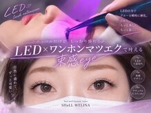 シェルウェリナ(SHeLL WELINA)の雰囲気（より印象的で華やかな目元へハイセンス×高技術でなりたい目元に）