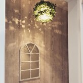 ラ ボーテ ド シル(La beaute de cil)