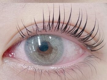 バタフライ 武蔵小杉店(Butterfly)/ラッシュアディクト効果比較