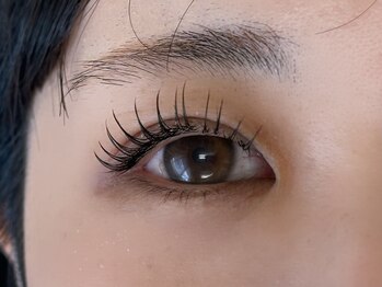 プリン(purin.)/フラットラッシュ