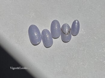 ヴィガー アンド ルックス 白金 目黒(Vigor&Looks)/シンプルコース