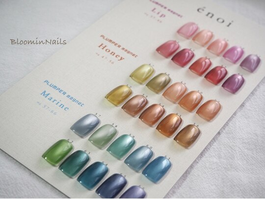 enoi プランパー マグネット marin 湧く 6色セット