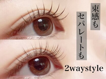 ハーゼ(Hase)の写真