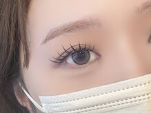 シエル(Ciel)/フラットラッシュ120本