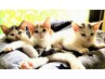 【300円引きクーポン】全身もみほぐし100分コース