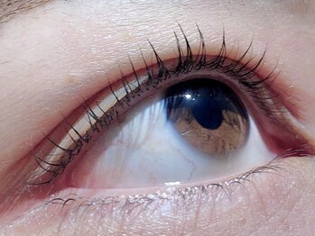 カラン 焼津店(CALIN)/ラスティングカール