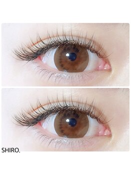 シロ(SHIRO.)/マツエク※セーブル【sexy】