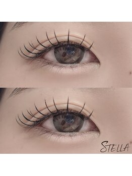 ステラ 恵比寿店(STELLA)/【フラットラッシュ】