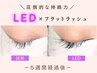 11/17まで【最新！高持続】LEDフラットラッシュ120本￥10,480→