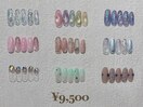 定額9500円