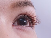 ブルーフォレスト/カラーラッシュ