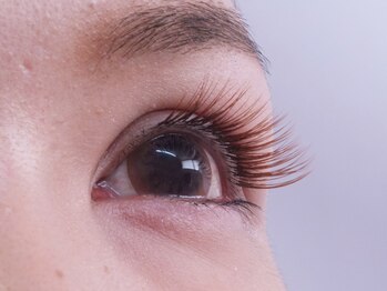 ブルーフォレスト/カラーラッシュ