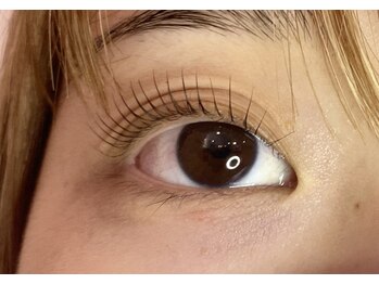 ペルシャ(Persian)/お客様デザイン(担当:宮井)