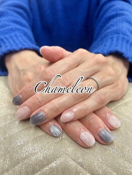 カメレオン(chameleon)/お客様ネイル