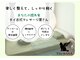 ツバサ(TSUBASA)の写真