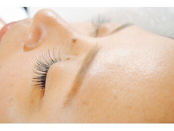 アイランド(Eyelands)/120本