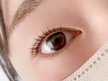 ディアウーマンアイラッシュ(Dear Woman Eyelash)/アッパーリフトカール