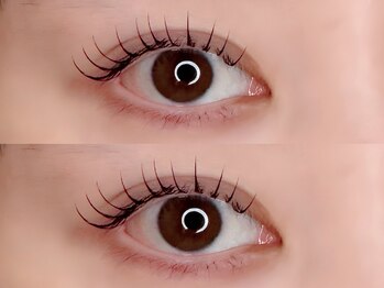 ディアー(Dear.)/フラットラッシュ