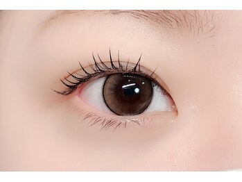 チュリップサカエ(Tulipe sakae)/一重まつげパーマ