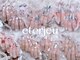 エタージュ(eterjeu)の写真