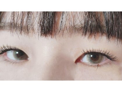 ネリネ(Nerine)の写真