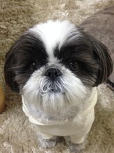 なごみ整体院&nbsp;HIRO MI