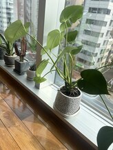 ビュースティ(BEAUSTIE)/【サロン風景】