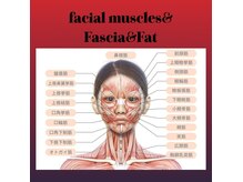 ウーマンズデザイン(WOMAN's DESIGN)の雰囲気（頭蓋の歪みや硬い脂肪と筋膜が招く変形や顔のたるみを改善◎）