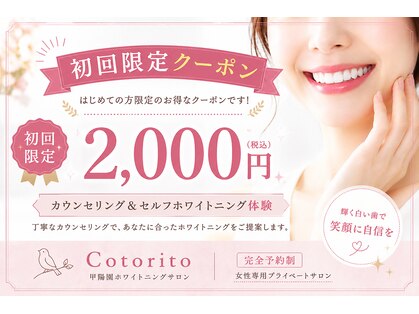 コトリト(Cotorito)の写真
