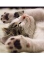 CS60ルアナ 恵比寿/猫【CS60ルアナ恵比寿/代官山】