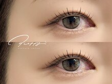 パピー(puppy)/アンドヘルシー80本