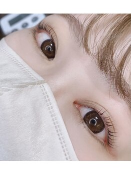 アイラッシュリリィ(Eyelash Lily)/ストレート/パリジェンヌ