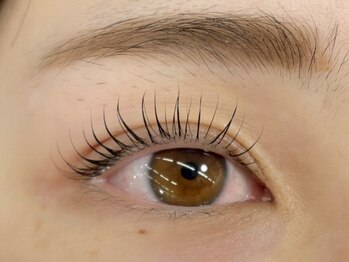 アイラッシュ ベイビーステップ(Eyelash Baby step)の写真/定番のフラットラッシュはもちろん、バインドロック/パリエク/ブラックティントなど商材＆技術豊富♪