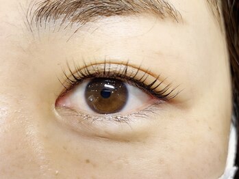 ティンク(Tink)/まつ毛パーマ まつげパーマ