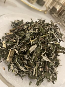 トワ 恵比寿(TOWA)/こだわりのよもぎ蒸し