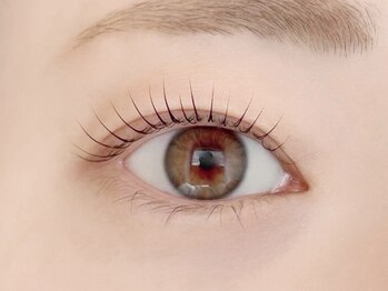 バレンタイン(Valentine)の写真/《目元から美人度UP》瞼・左右差に合わせたオーダーメイドまつげパーマ☆マスカラいらずの時短仕上げも◎