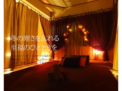 スイミー(Swimmy)の写真