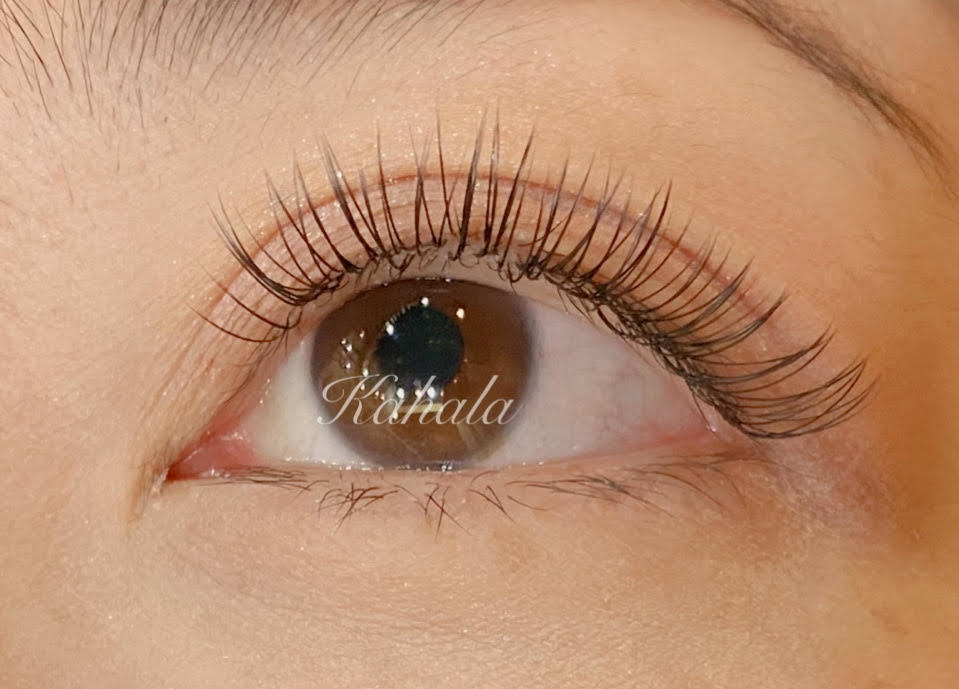 【超軽量】選べる3色 カシミヤフラットラッシュ★上まつげ130本まで 11,690円