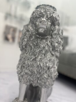 グレイス(Grace)/店内の雰囲気